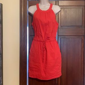bebe dress size 6